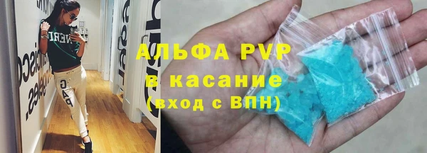 ECSTASY Алзамай