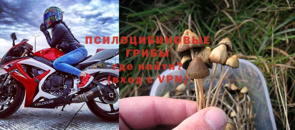 ECSTASY Алзамай