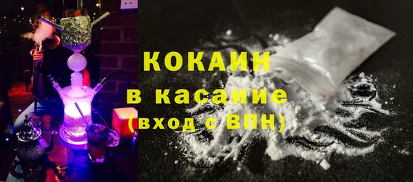 крисы Алексин