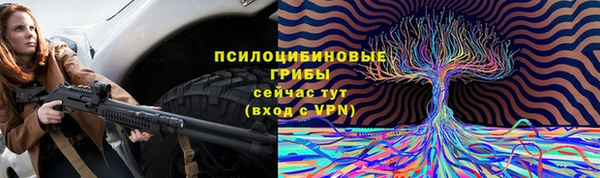 винт Алексеевка