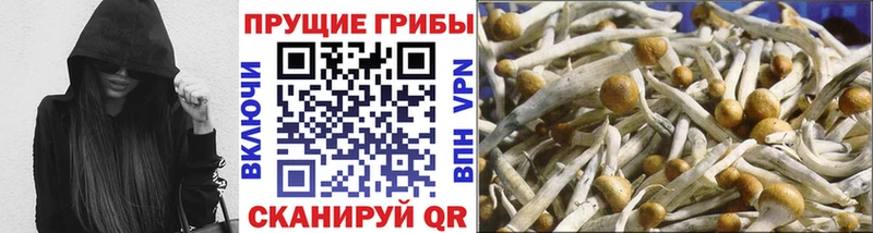 даркнет сайт  это состав  Псилоцибиновые грибы Psilocybine cubensis  Череповец 