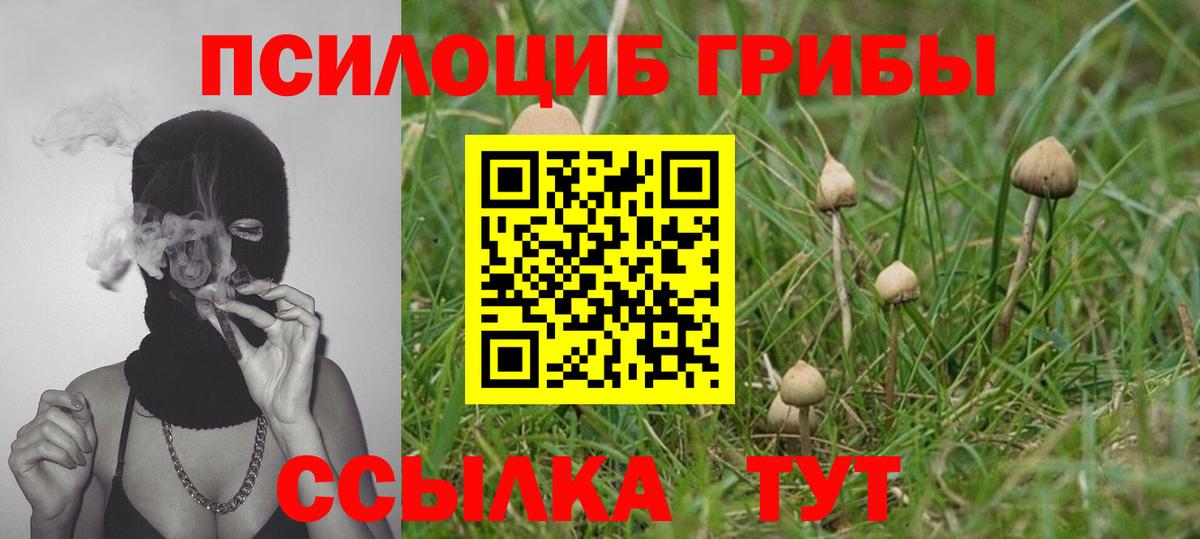 Череповец  Галлюциногенные грибы GOLDEN TEACHER  цены наркотик  Вход с VPN 